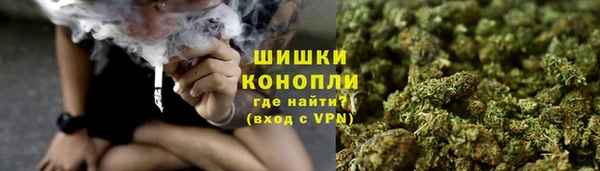 apvp Арсеньев