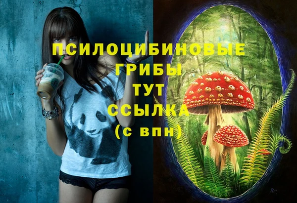 apvp Арсеньев