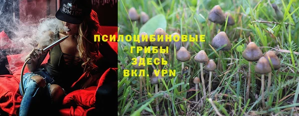 мяу мяу мука Новодвинск