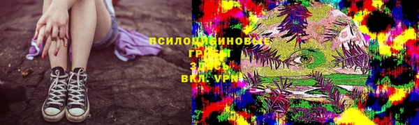 apvp Арсеньев