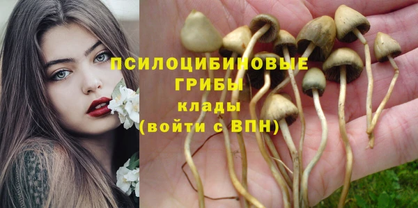 apvp Арсеньев