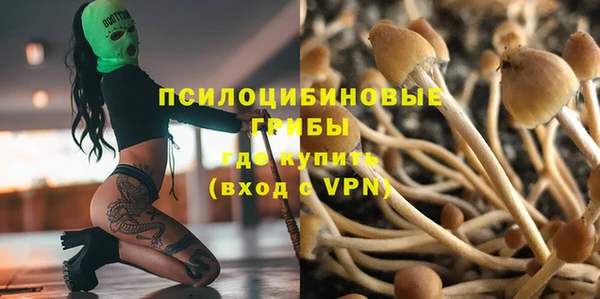 ALPHA-PVP Аркадак