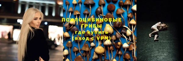 apvp Арсеньев